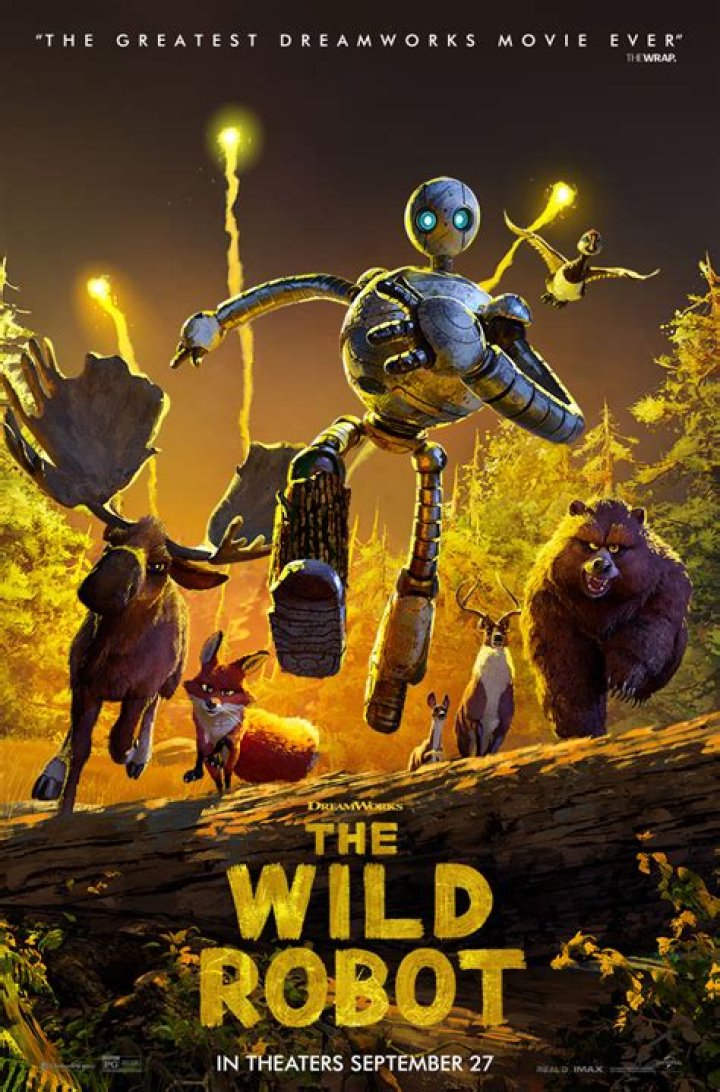 A Journey Into The Wild