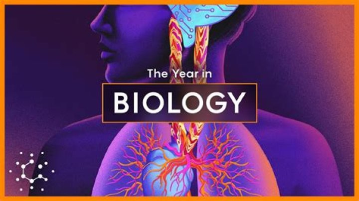 Discover The Latest Breakthroughs With AI Luminary Jonathan Gilbert Oggi