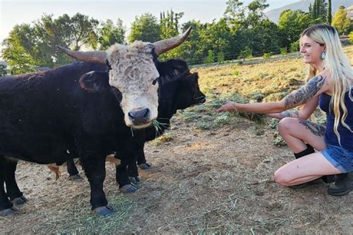 Discover The Secrets Of Claudia Marie Black Bull Breeding 13