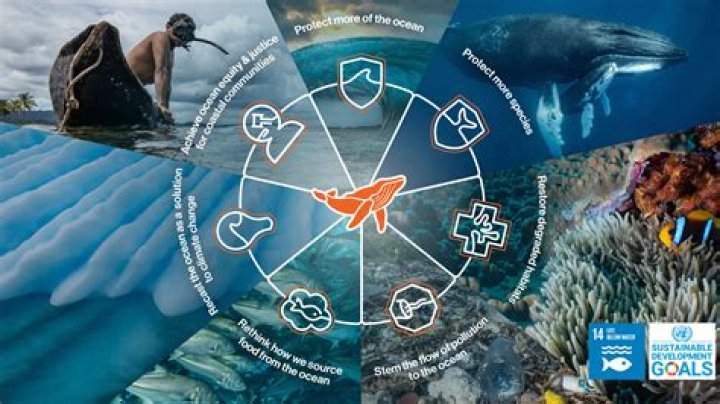 Discoveries And Insights Into Marine Conservation With Eliza Ibarra And Coco Lovelock