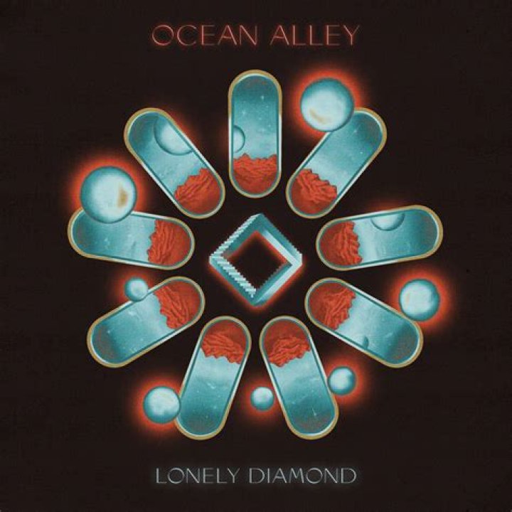 Insights Into The "ocean Alley Lead Singer"