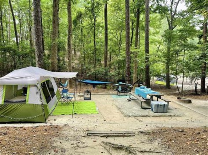 Marilyn Johnson And JC Wilds' Epic Camping Adventure