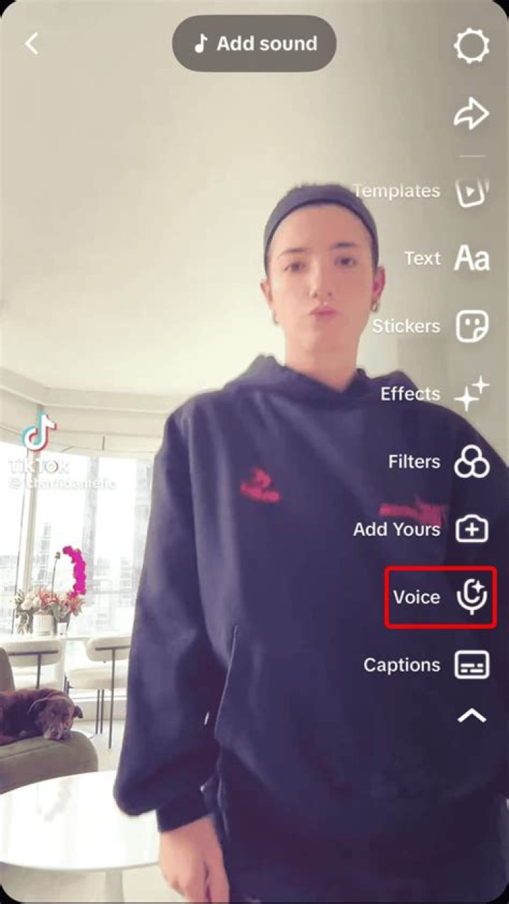 Master The Voice Effect On TikTok
