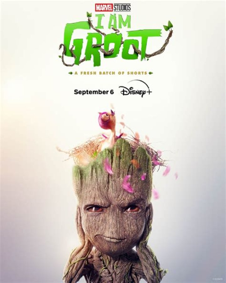 Unveiling The Complexities Of "I Am Groot" In The MCU: Discoveries And Insights