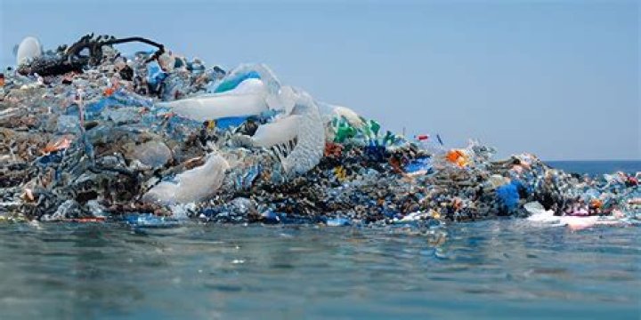 Unveiling The Hidden Dangers Of "Name Thatpornad Called Plastic"