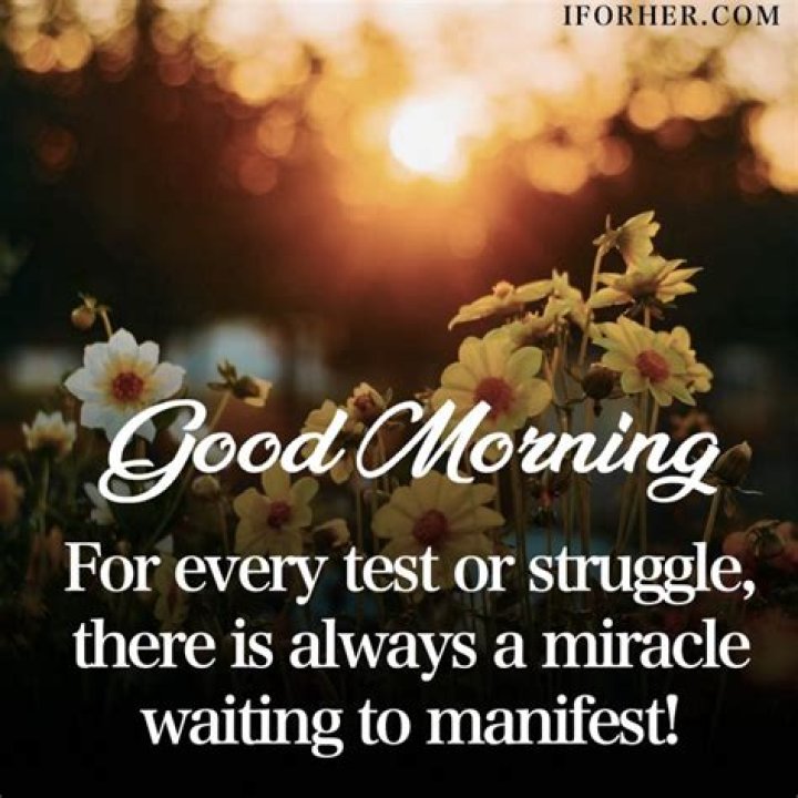 Unveiling The Power Of Fun Good Morning Quotes: Discoveries And Insights