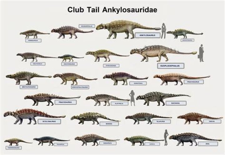 Unveiling The Secrets Of Club Tail Dino Club Crochet