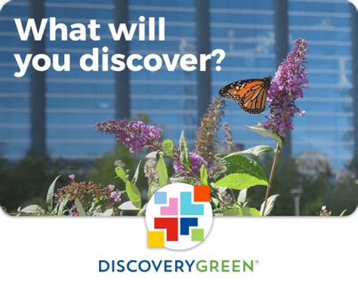 Your Guide To Content Discovery